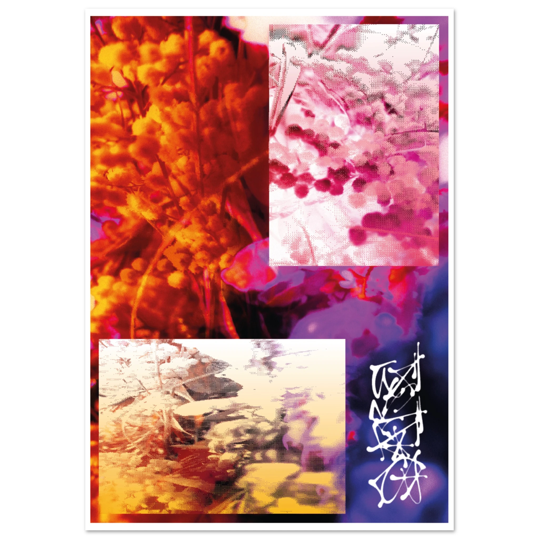 65956275-1007-49ba-b65b-6a33a81cfc7c