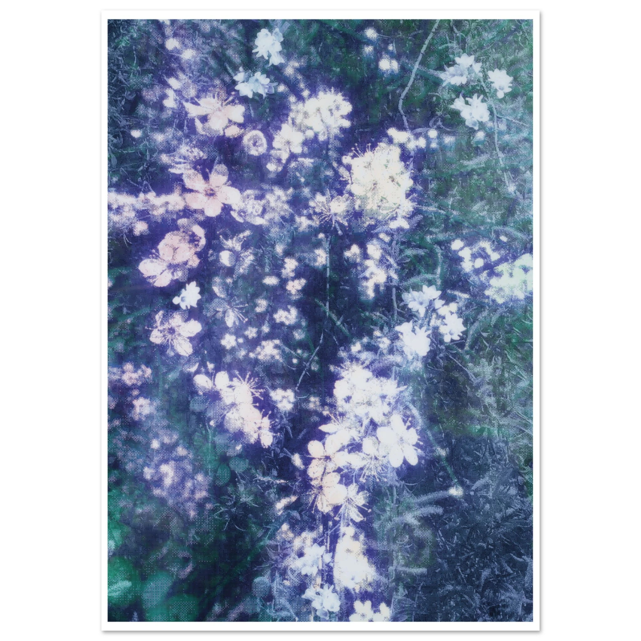 e27f6218-32ac-4de4-ad6f-373e0e1f80b8